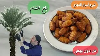 Метод Балах аш-Шам без яиц Очень экономичное решение Шеф-повар Абу Аль-Абд