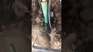 Şakalak mibzer tohum ekimi