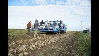 Michigan Sugar Company Research video