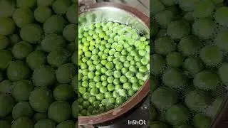#drumsticks #flowers #vegetables #recipe #moringa #2026#health #fitness#fun#kitchen #stay#सहजन#vlog