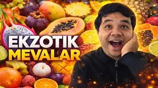 EKZOTIK MEVALAR
