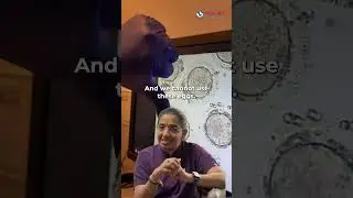 What does a human egg look like under a microscope? | Mamata Fertility Hospital: Hyderabad