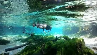 2019 River snorkling Bonito Rio Securi Brazil