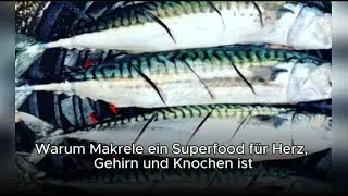 Warum Makrele ein Superfood für Herz, Gehirn und Knochen ist