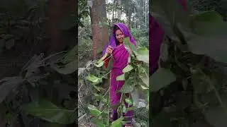 Ты как Нонон-Нонон, кто ты такой, чтобы ссориться с женой брата своего?
