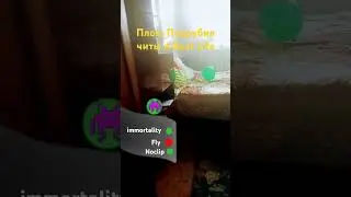 Noclip в Real Life читы называюца мод меню Real Life