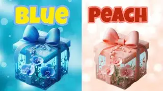 Choose Your Gift Box | Blue Sky & Peach Edition 🎁✨*