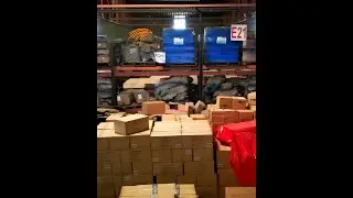 TOUR | Behind the Gates of a Massive Timber Pond | Warehouse Operation | #PakShaheen