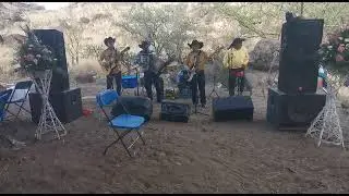 El coco rayado DESCARGA NORTE.