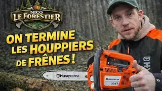[Affouage]🪵🌳🔥On termine le fr&ecirc;ne par les 3 houppiers//Husqvarna 334T 