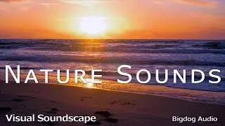 Nature Sounds | Beach | RELAXATION SOUNDS | Visual Soundscape | 4K