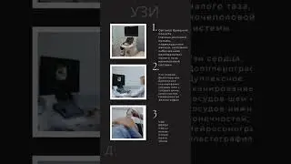 УЗИ диагностика. Реклама для бизнеса. От автора😀#irinaushakova #video #medicinal #doctor