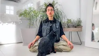 *Lasting* Anxiety Relief: 10-min Meditation
