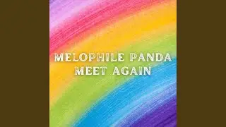 Meet Again