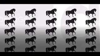 Difficult Interview Question - 25 horse riddle