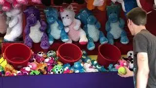 Teddy Bear Quest