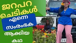 Jeribra ചെടികളോടുള്ള എന്റെ ഇഷ്ടം എങ്ങനെ വിജയകരമായ ഓൺലൈൻ പ്ലാൻറ് ബിസിനസായി മാറി | Reemz Basket കഥ 