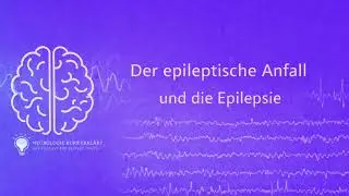 Der epileptische Anfall und die Epilepsie