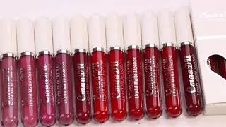 3Pcs Matte Lipstick Liquid Lip Gloss Set Waterproof Lip Paint Long Lasting Salon
