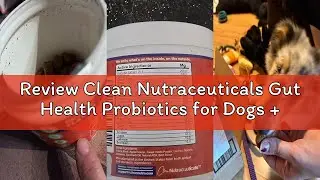 Review Clean Nutraceuticals Gut Health Probiotics for Dogs + Pumpkin Colostrum Digestive Enzymes Gin