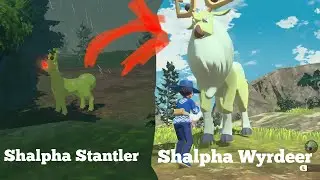 Shiny alpha stantler while going to a stantler massive mass outbreak!! +evo to Shalpha Wyrdeer!!