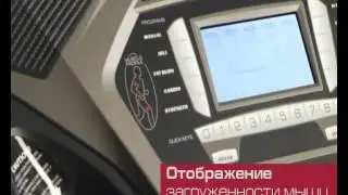 Spirit Fitness XT485