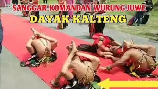 Tari Burung Jue Sanggar ranu mareh || komandan wurung juwe pedalaman kalimantan