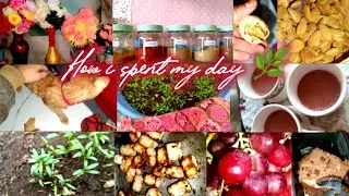 How I Spent My Weekend at home 🏡 | plants update & Delhi pollution 🌿