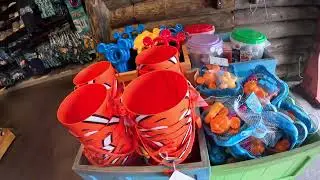 Shopping at Disney&rsquo;s Typhoon Lagoon! 🐭🌊 | Tropical Treasures & Park Essentials