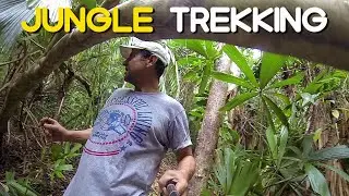 Jungle Trekking at Cacnipa Island in the Philippines