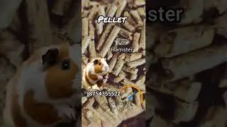 pellet@smartfarmaviary #guineapig#hamsters#rabbit#guinea pig pellet#hamster pellet#rabbitpellet