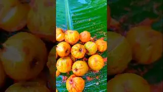 spicy kul pickle 🤤 #fruit #youtubeshorts #tranding #pickle #recipe