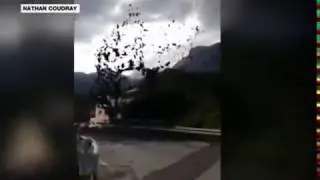 Switzerland mudslide: Alpine town caught in deluge ! News in English