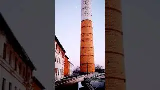 Rooftop Falcon 🏭