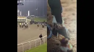 Nearly a disaster. #horseracing #horse
