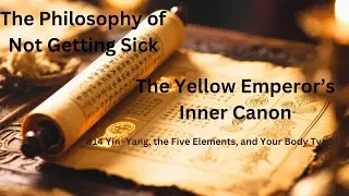 The Philosophy of Not Getting Sick    Ep14 Yin&ndash;Yang, the Five Elements, and Your Body Type