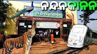 Nandankanan zoological park| fish money Safari tour|😉 #nandankananzoologicalpark #video #viral 