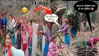 पहाड़ी महिलाओं की जिंदगी 😱 31 day मनाया जंगल में 😄 लकड़ियां मिलनी हो गयी मुस्किल 🥲 #pahadilifestyle 