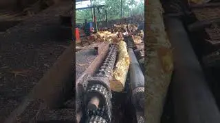 Wood veneer peeling style part 211 #wooddesigner #woodworkingmachine #viral #machine #wood #shorts