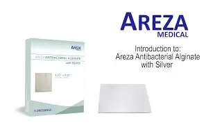 Antibacterial Alginate with Silver (Silver Alginate, Calcium Alginate with Silver)- Introduction