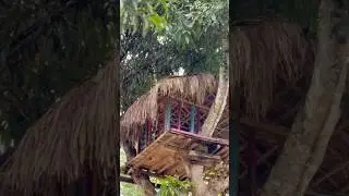 Rangsapara🏡🛖 | Tanmay Xvm01