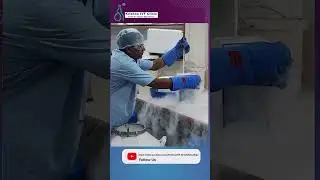 What is the Success Rate of Oocyte Freezing?  Krishna IVF Clinic, Since 1996 - Visakhapatnam.