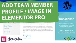 How to Add Team Member Profile using Premium Addons For Elementor in Elementor WordPress