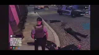EuphoriaRP LSPD Diamond Store Robbery