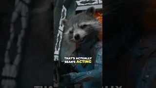 Джеймс Ганн РАСКРЫВАЕТ, как был создан ЕНОТ-РАКЕТА для киновселенной Marvel