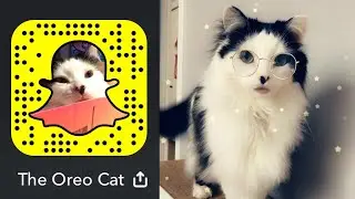 SnapChat Compilation #3