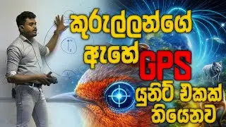 කුරුල්ලන්ගෙ ඇහේ GPS UNIT එකක් තියෙන්වා
