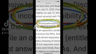 Ricky L Pinzon loses in court again & again