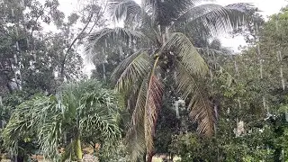 Hurricane melissa now is St.Elizabeth #Jamaica