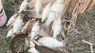 It's amazing to catch fish in the countryside in a natural pond.